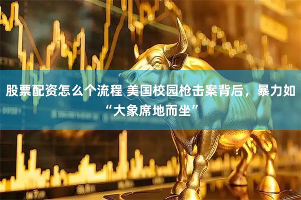 股票配资怎么个流程 美国校园枪击案背后，暴力如“大象席地而坐”