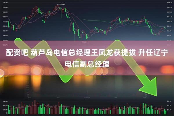 配资吧 葫芦岛电信总经理王凤龙获提拔 升任辽宁电信副总经理