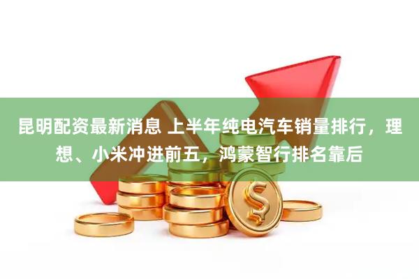 昆明配资最新消息 上半年纯电汽车销量排行，理想、小米冲进前五，鸿蒙智行排名靠后
